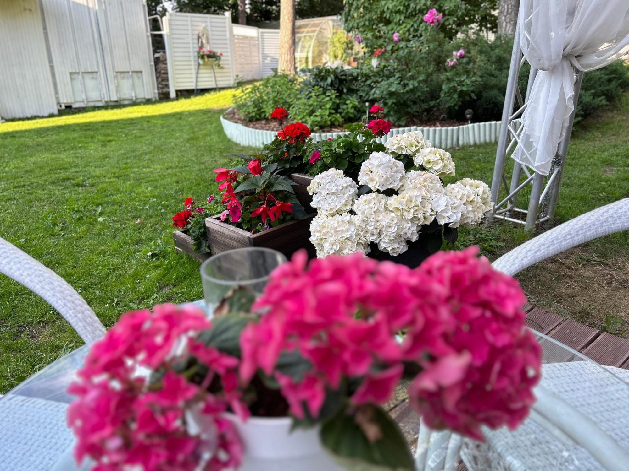 טאלין Paivilla Boutique Hotel מראה חיצוני תמונה